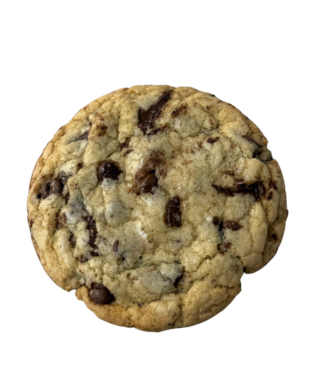 Chocolate Chip Cookie