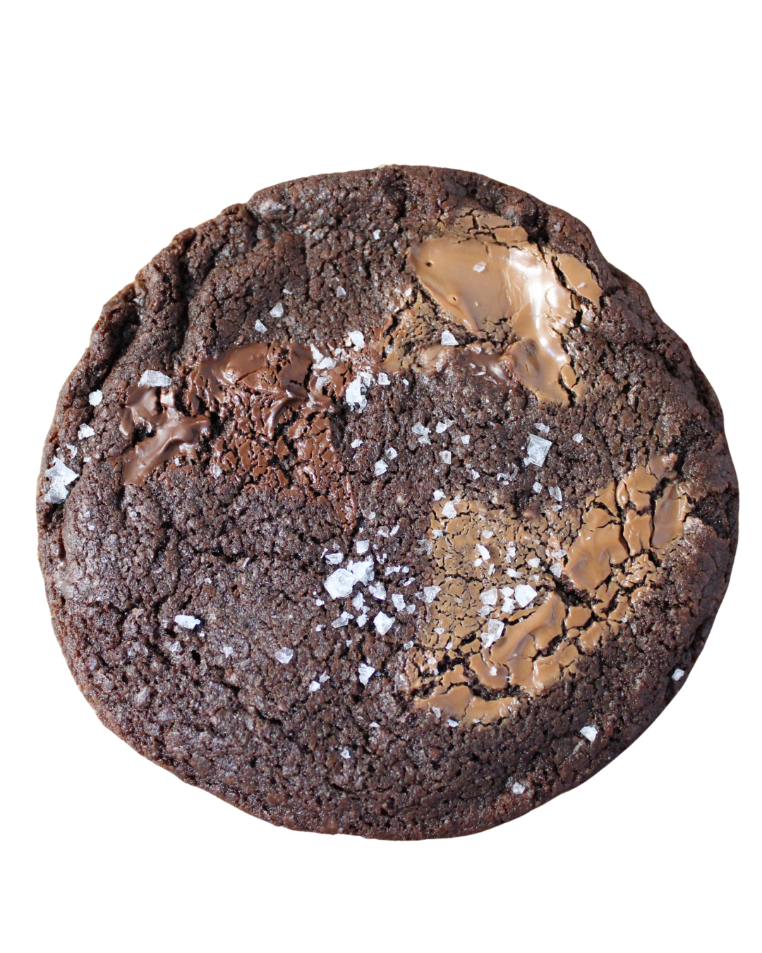 Triple Chocolate Chunk