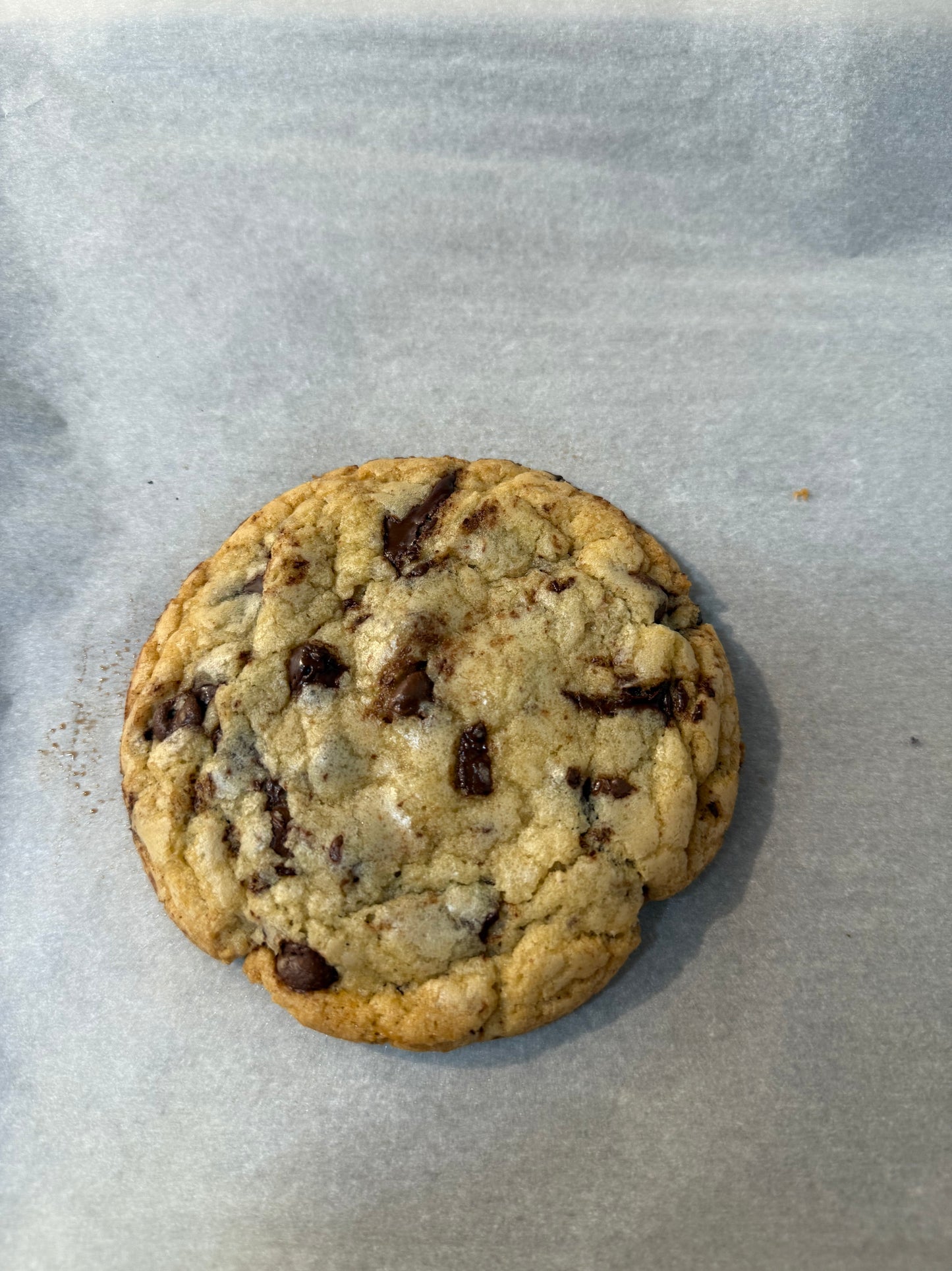 Chocolate Chip Cookie