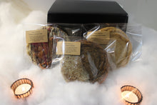 The Cozy Trio 🤍❄️