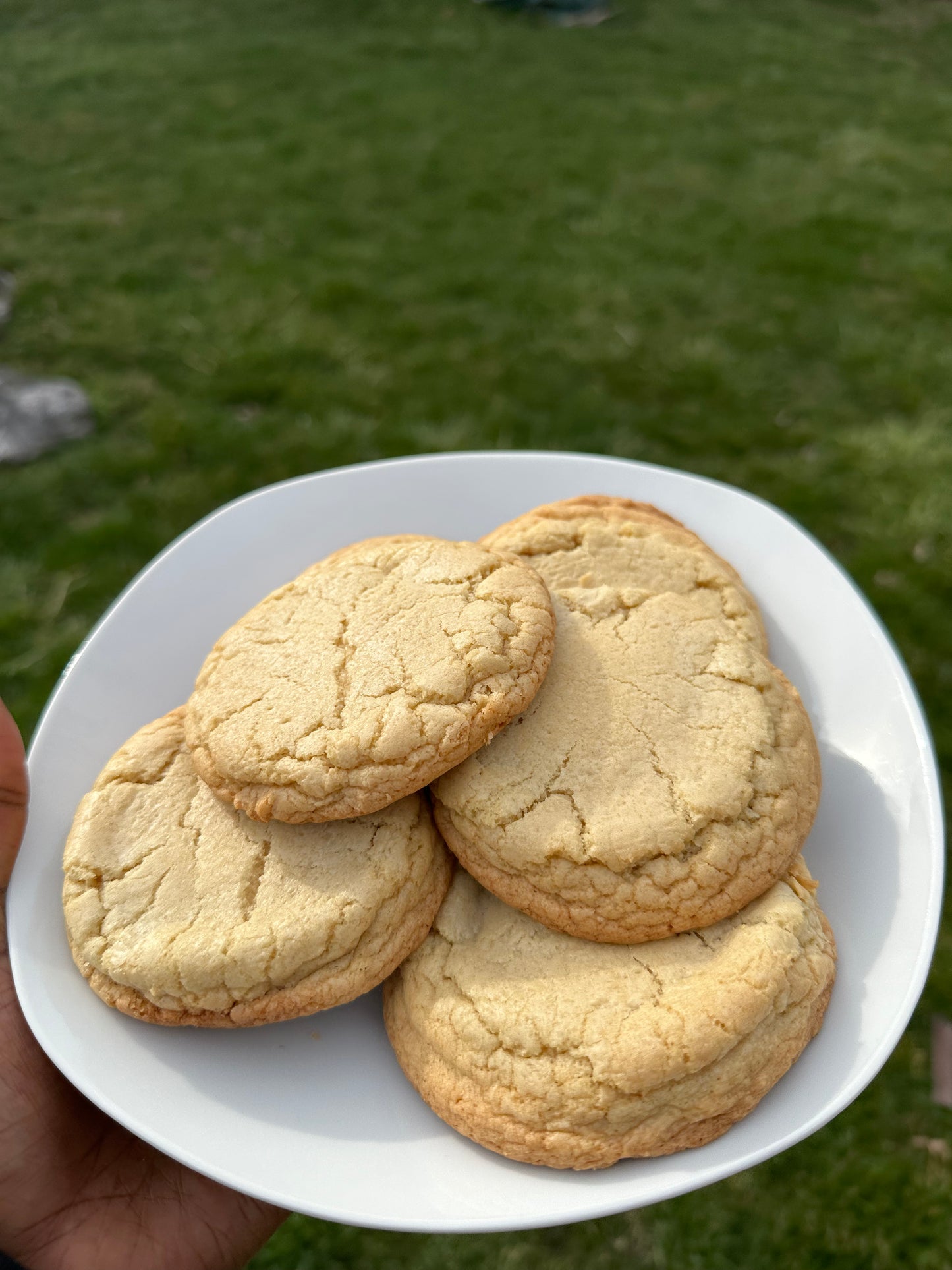 "Boneless" Chocolate Chip Cookies